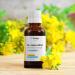 Dr Corbyn St. John's Wort Tincture Drops with Vitamin C 50ml (Pack of 2) | St. John's Wort Liquid Enriched with Vitamin C | Alcohol Free - Buy Online on GoSupps.com