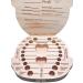 Sonfedo Wood Baby Teeth Storage Box - Keepsake Gift for Girls | German Version | Perfect for Milestone Moments - Buy Online on GoSupps.com