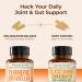 Joint Support Bundle 2-Pack Organic Turmeric Supplement with 95% Curcuminoids + 65% Boswellia Extract Ginger Root & Black Pepper (BioPerine) + Vegan Glucosamine Chondroitin MSM 60 + 90 Capsules - Buy Online on GoSupps.com