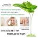 Aloe Vera Gel for Sunburn Relief Hydrating Travel Size Aloe Vera Gel for Face Moisturizing Sunburn Relief After Sun Lotion Fast Absorbing Non-Sticky Cooling After Sun Lotion Face Moisturizer (D) - Buy Online on GoSupps.com