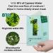 Numbuzin No.1 Dewy Glow Spa Sheet Mask - 4 Puffy Face Forest Masks | Korean Skin Care - Buy Online on GoSupps.com