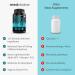 12-in-1 Nootropic Brain Supplement with Caffeine Anhydrous: Ginkgo Biloba for Brain Support, Memory and Focus - B12, Alpha GPC, L Theanine and Choline Supplements with Bioperine with 1321mg (60ct) 60 Count (Pack of 1) - Buy Online on GoSupps.com