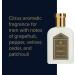 Truefitt & Hill The Apsley After Balm 100ml | Luxury Aftershave Balm for Men | International Shipping Available - Buy Online on GoSupps.com