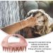 Buy Double-Sided Credit Massage Brush - Portable Silicone Scalp Massager for Men & Women - Wet & Dry Hair Care Device - Buy Online on GoSupps.com