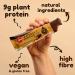 Vive Gluten Free Protein Bars High Protein Snacks Vegan High-Fibre 100% Natural Non-Dairy Mocha Almond Flavour 12 x 49g Mocha Almond 12 Count (Pack of 1) - Buy Online on GoSupps.com