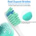 Senyum Toothbrush Replacement Heads for Philips Sonicare - E-Series 4 Pack - Buy Online on GoSupps.com