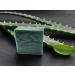 Premium Oatmeal & Goat Milk Soap Bar - Luxurious Handmade Natural Soap (Aloe Vera) for Radiant Skin | International Shipping Available - Buy Online on GoSupps.com