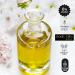 Body Oils by Brenda Arabian Sandalwood Concentrated Fragrance Body Oil (3 ml) 0.1 Fl Oz (Pack of 1) - Buy Online on GoSupps.com