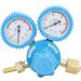 Oxygen Regulator 0-25MPa 0-2.5MPa Dual Display Heavy Duty Handle Oxygen Regulator HVAC Oxygen Tank Regulator Gauge for Chemical Healthcare - Buy Online on GoSupps.com