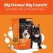 Vitality Dog Beef Liver with Pumpkin - Premium Baked Dog Treats - Training Treats for Dogs Pet Treats Dog Snacks - Made in Canada Grain Free Human Grade 400g / 14.1oz Beef Liver with Pumpkin 400 g (Pack of 1) - Buy Online on GoSupps.com