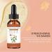 Huile Visage au Paracress - Kit Anti- ge : R duit les pores S rum Eclaircissant Taches Cr me Pigmentaire Cr me Nuit Hydratante - Aide Att nuer Rides Fines Lisser Rides (3) - Buy Online on GoSupps.com