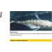 Sera Ectopur 2.5 kg - Alleviate Fish Illness & Stress Enhance Breathing Supports Medication Effect - 1 Pack International Shipping Available - Buy Online on GoSupps.com