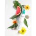 PEVONIA CleanRefresh Foaming Oil Cleanser | Gentle Hydrating Facial Cleanser | 6.8 fl. oz. - Worldwide Shipping - Buy Online on GoSupps.com