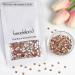 Beadsland 1440 Flat Back Rhinestones for Nails - Champagne SS20 Crystals (4.6-4.8mm) - Perfect for Nail Art & Craft Projects - Buy Online on GoSupps.com