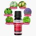 Casida HerpNatura Repair & Protect - Natural Nourishing Oil for Herpes & Cold Sores | 10 ml - Shop Internationally for Effective Relief - Buy Online on GoSupps.com