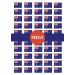 48 PRECUT Australian Flag Edible Mini Cupcake Toppers Edible Mini Cupcake Toppers - Premium Thickness SWEETENED Vanilla - Wafer Card disc Cake Decorations
