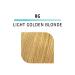 WELLA colorcharm Demi Permanent Hair Color 8G Light Golden Blonde 2 oz - Gray Hair Coverage & Gloss, Pack of 1 - Buy Online on GoSupps.com