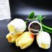 i-Laesh Eyelash Extension Remover Cream - Low Irritating Formula for Sensitive Skin - Quick Dissolve Glue Remover - 5g Cantaloupe | International Shipping Available - Buy Online on GoSupps.com