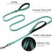Vivaglory Traffic Handle Dog Leash - Reflective Padded Strong Metal Hook - 1.8m Turquoise Training Line for Dogs - Buy Online on GoSupps.com
