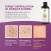 RedMoringa Anti-Cellulite Massage Oil - Body and Hair - 100% Natural - With Moringa Jojoba Rose Shea Butter - Makes Skin Velluted - 250 ml - Made in Italy - Buy Online on GoSupps.com
