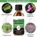 Fungal Nail Treatment - Extra Strong Nail Fungus Treatment for Toenail and Fingernail - Anti fungus Nail Repair and Strengthen Fix & Renew Damaged Broken Nails 1PC - Buy Online on GoSupps.com