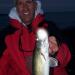 Missmisq Drop Fishing Lights | Waterproof Night Fishing Bait Light for Sweet & White Fish - Buy Online on GoSupps.com