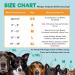 BENCMATE Inflatable Recovery Collar for Dogs & Cats - Large Blue 12-18 - Soft E-Collar for Enhanced Comfort & Visibility - Buy Online on GoSupps.com