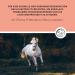 Annimally Electrolyte Liquid for Horses 1000ml - Sugar-Free Electrolyte Formula with Sodium Potassium Calcium Magnesium & Vitamin B - Buy Online on GoSupps.com