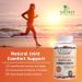 Joint Support Gummies with Glucosamine & Vitamin E - 120 Count - Cartilage & Immune Health Supplement for Men and Women - Buy Online on GoSupps.com
