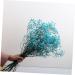 2pcs Plant Decor Gifts Dried Flowers The Gift Dried Flower Decor Creative Preserved Flower Preserved Flower Decor Romantic Preserved Flower Artificial Gypsophila Bluex2pcs 60X20cmx2pcs - Buy Online on GoSupps.com