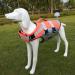 Hzqifei Reflective Life Jacket for Dogs - Premium Swimming Vest for Small Medium & Large Breeds (Orange Size S) - Safe & Stylish Dog Swim Training Gear - Buy Online on GoSupps.com