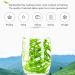 WOOXGEHM Jasmine Green Tea Strong Aroma Chinese Mao Jian Tea Yellow Color Selected Green Tea From the High Mountains Has the Effect of Cooling and Relieving the Summer Heat - Buy Online on GoSupps.com
