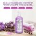 Pure Relief Lavender & Magnesium Sleep Body Lotion 16oz | Promotes Better Rest with Soothing Herbal Extracts | Paraben-Free Aromatherapy Skincare - Buy Online on GoSupps.com