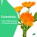 PROcure Hydrocortisone Cream with Calendula - 1 oz - Buy Online on GoSupps.com