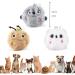 Buy Catal Balls - Interactive & Plush Cat Toys with Sound | 3 Colors Electrically Animated | Perfect for Playful Cats - Buy Online on GoSupps.com