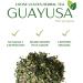 Organic Guayusa Tea 113g Loose Leaf Premium Shade-Grown Ilex Guayusa Coffee Alternative Natural Energy Boost Naturally Caffeinated Herbal Tea | DRAGONFLY HERBS - Buy Online on GoSupps.com