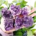 80-100g 1-6PCS Natural Uruguay Amethyst Cluster Cave Pieces of Original Stone Specimens Placed (Size : 6pcs) - Buy Online on GoSupps.com