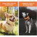 Buy Luminous LED Dog Collar - Adjustable Waterproof 7 Color Changing Light for Night Safety - Fits Small Medium & Large Dogs (38-50cm) - 2022 Orange - Buy Online on GoSupps.com