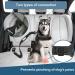 Flywave Strap-On Dog Car Belt | Adjustable Reflective Dog Safety Harness for All Breeds | Secure Buckles & Clips Universal Fit for All Auto Types - Buy Online on GoSupps.com