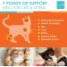Cat Vitamins - Spectrin 16 OZ Liquid Supplement for Cats - 96 Doses - Buy Online on GoSupps.com