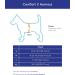 Gooby Comfort X Head in Harness - No Pull Small Dog Harness | Patented Choke-Free X Frame | Medium Chest (14.25-18.75) Pink - Buy Online on GoSupps.com