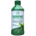 Country Farms Chloropure Liquid Chlorophyll Mint 16 fl oz (473 ml)