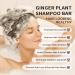 Shampoo Bars & Conditioner Set - 3 PCS Travel Size | Ginger & Coconut | Hair Growth & Anti-Loss | Strengthening Moisturizing Zero Waste Silicone-Free - Buy Online on GoSupps.com