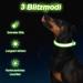 Jostift Luminous Elbe Rechargeable LED Dog Collar - Waterproof & Adjustable for Small/Medium Dogs - Super Bright with 3 Lighting Modes (Green) - Buy Online on GoSupps.com