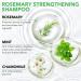 Rosemary Shampoo Hair Growth 300ML Rosemary Shampoo Anti Hair Loss Soap Hair Regrowth Shampoo for Dry and Brittle Hair - Buy Online on GoSupps.com