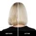 HASK Blonde Care 5-in-1 Leave-In Spray Conditioner Bundle - Vegan & Cruelty-Free | Color, Gluten, Sulfate, Paraben-Free - Buy Online on GoSupps.com