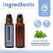 Peppermint Essential Oil Duo (2 Pack) - Head Tension Relief, Pregnancy Essentials, Stress Reduction - Aromatherapy Rollers - Buy Online on GoSupps.com