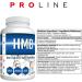 Pro Line HMB Capsules | 3000mg HMB (Beta-Hydroxy Beta-Methylbutyrate) 750mg Per Capsule | HMB Leucine Supplement for Muscle Growth Recovery Muscle Soreness Strength | 120 Capsules (Pack of 2) 120 count (Pack of 2) - Buy Online on GoSupps.com