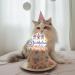 Cat Cake Topper Birthday Topper for Cat Party Decorations Happy Birthday Cake Topper Decoration for Pet Kitten Kitty Birthday Party Decorations 5 inch Colorful Cake Topper - Buy Online on GoSupps.com