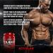 Activlab EAA Xtra 500g - 100% Daily EAA Requirement Powder for Muscle Regeneration Grapefruit Flavor | 50 Portions of All 8 Essential Amino Acids & B Vitamins - Buy Online on GoSupps.com